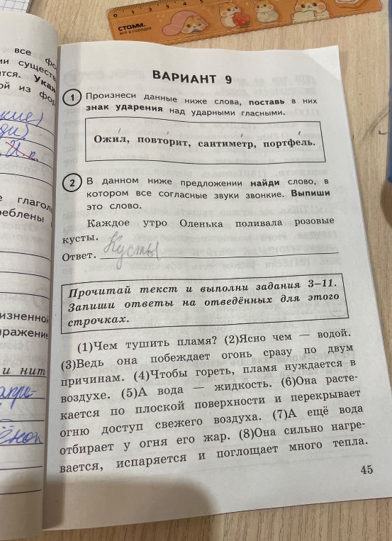 Произнеси данные ниже слова, поставь в них знак ударения над ударными гласными.