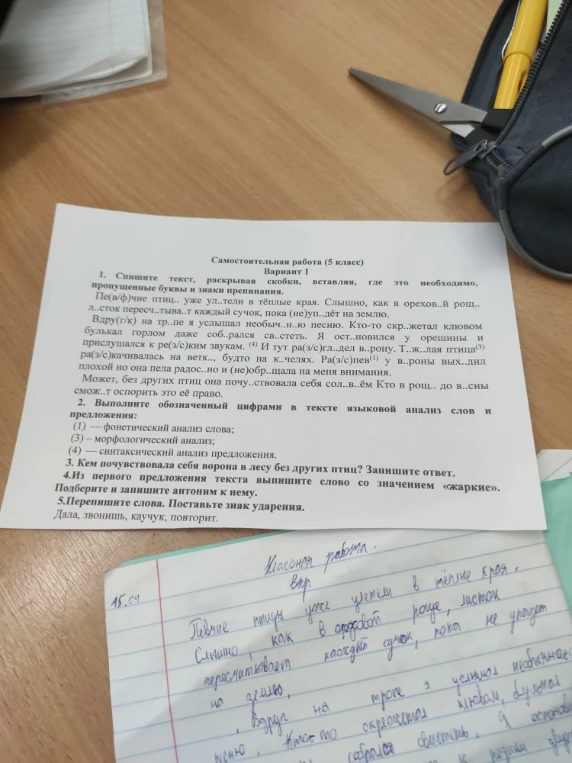 Спишите текст, раскрывая скобки, вставляя, где это необходимо, пропущенные буквы и знаки препинания.